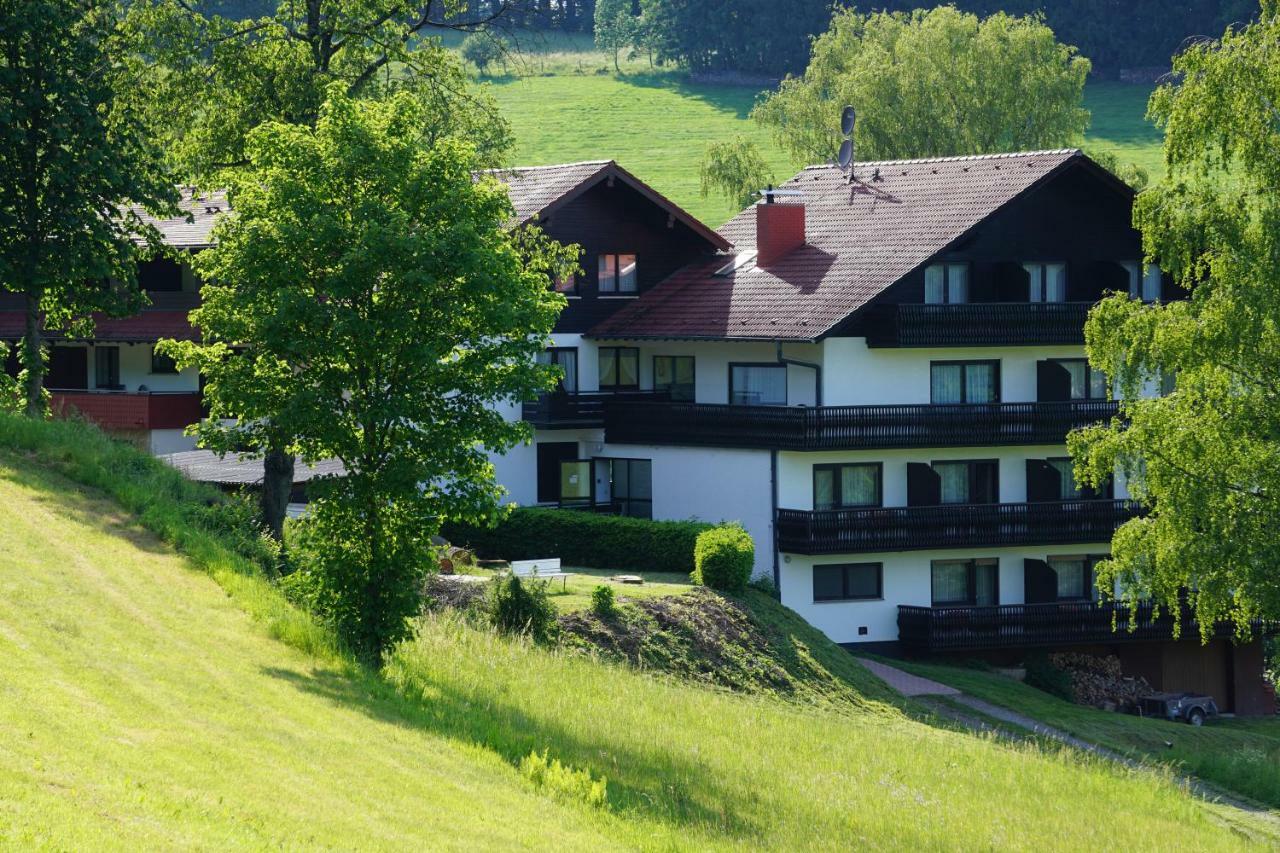 Birkenhof Hotel Wald-Michelbach Exterior photo